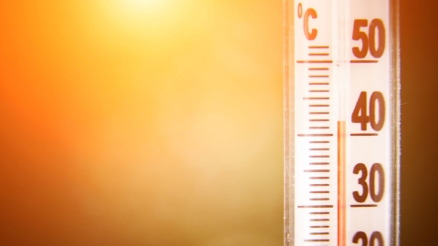 Vigilance orange canicule
