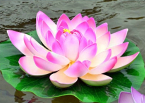 Association Malouine pour le Yoga et la Sophrologie (AMYS)